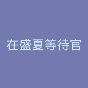 在盛夏等待官网