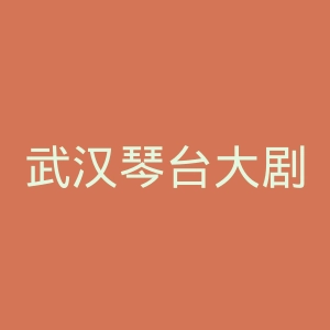 武汉琴台大剧院官网