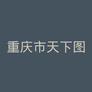 重庆市天下图书有限责任公司官网