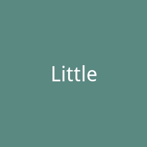 LittleLife官网