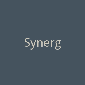 Synergy SP官网