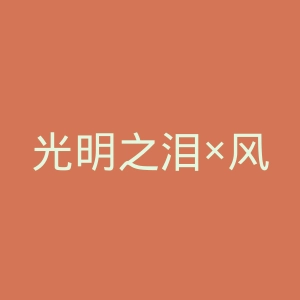 光明之泪×风官网