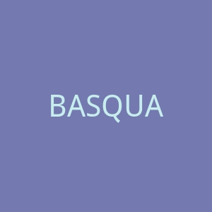 BASQUASH!官网