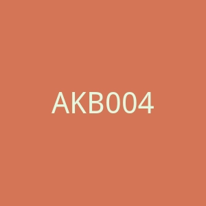 AKB0048官网