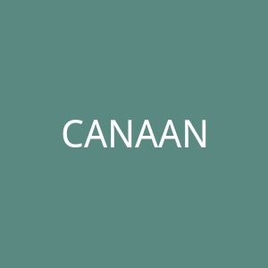 CANAAN官网