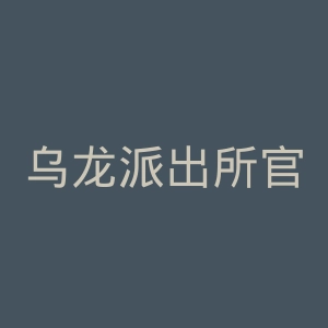 乌龙派出所官网