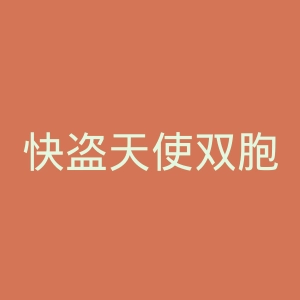 快盗天使双胞胎官网
