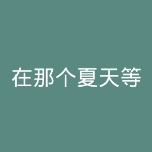 在那个夏天等待官网