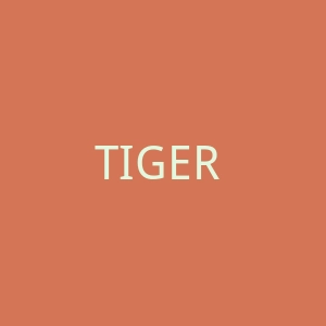 TIGER and BUNNY官网