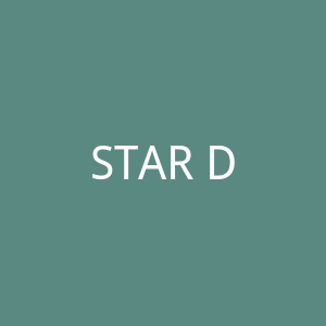 STAR DRIVER官网