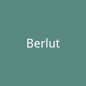 Berluti官网