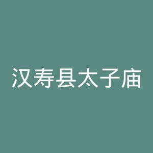汉寿县太子庙中心医院官网