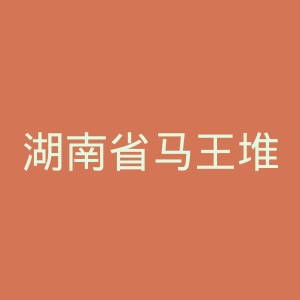 湖南省马王堆医院官网