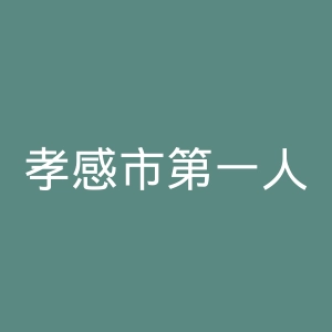 孝感市第一人民医院官网