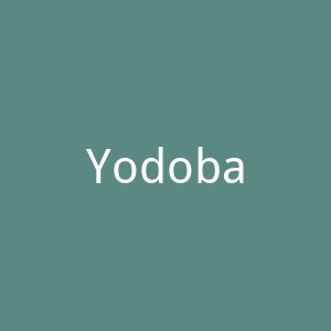 Yodobashi官网