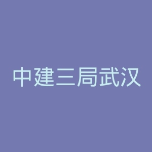 中建三局武汉中心医院官网