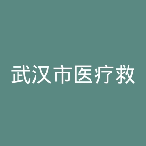 武汉市医疗救治中心官网