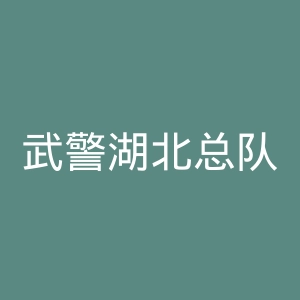 武警湖北总队医院官网