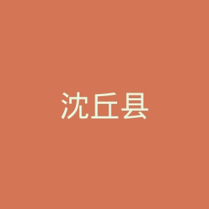 沈丘县人民医院官网
