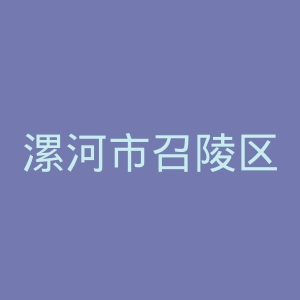 漯河市召陵区人民医院官网