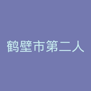 鹤壁市第二人民医院官网