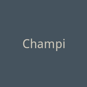 Champion官网