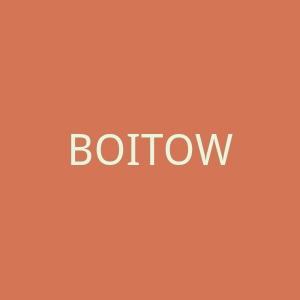 BOITOWN官网