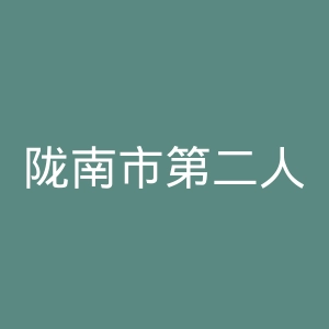 陇南市第二人民医院官网