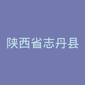 陕西省志丹县人民医院官网