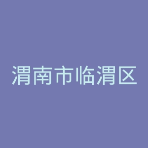 渭南市临渭区中医医院官网