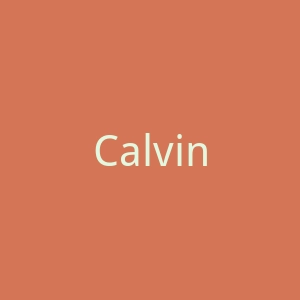 Calvin Klein官网