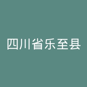 四川省乐至县中医医院官网