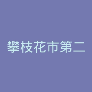 攀枝花市第二人民医院官网