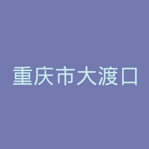 重庆市大渡口区第二人民医院官网