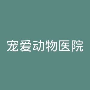 宠爱动物医院官网