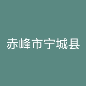 赤峰市宁城县医院官网