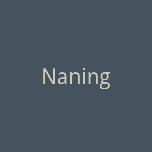 Naning9官网