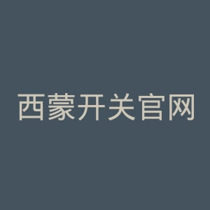 西蒙开关官网