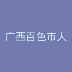 广西百色市人民医院官网