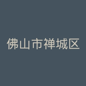 佛山市禅城区中心医院官网