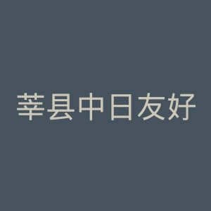 莘县中日友好医院官网