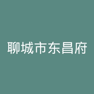 聊城市东昌府人民医院官网