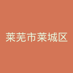 莱芜市莱城区人民医院官网