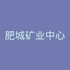 肥城矿业中心医院官网