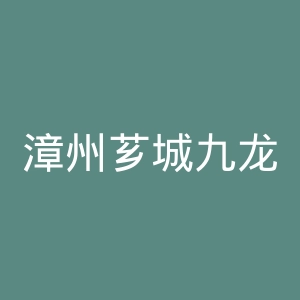 漳州芗城九龙医院官网