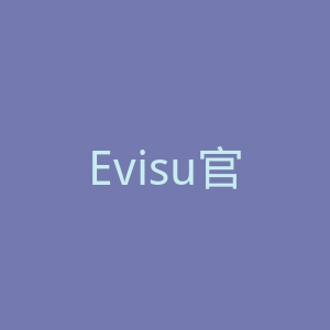 Evisu官网