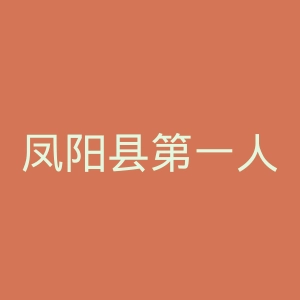 凤阳县第一人民医院官网