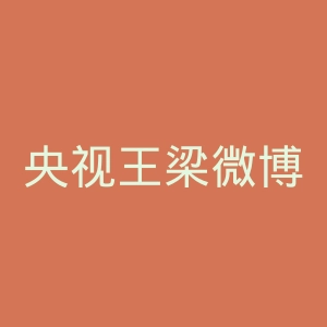 央视王梁微博官网