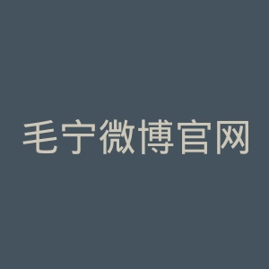 毛宁微博官网