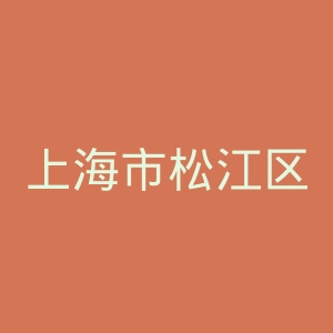 上海市松江区中心医院官网